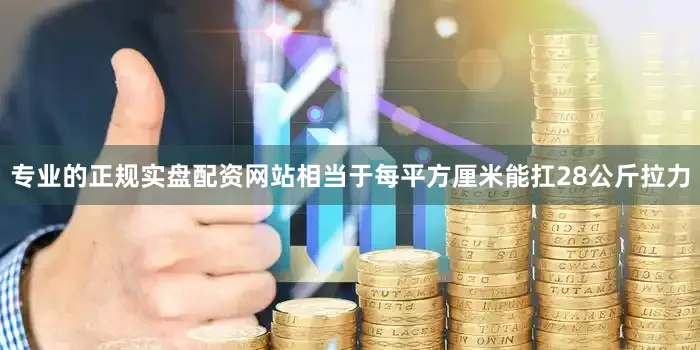专业的正规实盘配资网站相当于每平方厘米能扛28公斤拉力